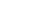 Danubius Arabians